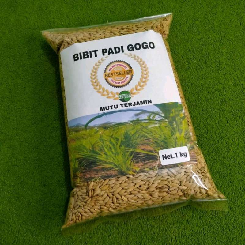 BIBIT PADI GOGO 1 Kilo Gram